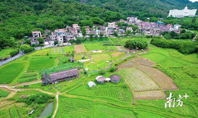 中山五桂山旗溪村。南方+卢子衡 摄